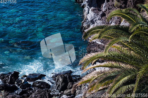 Image of beautiful view on blue ocean water and palm tree