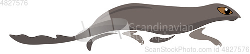 Image of Clipart of the mammal mongoose vector or color illustration
