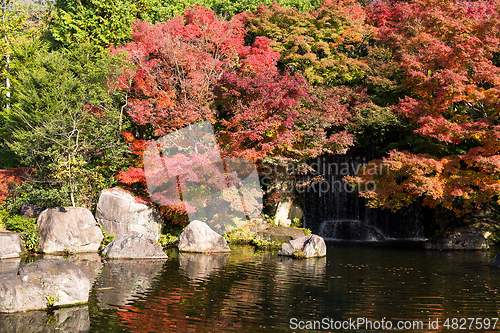 Image of Autumn garden in Japan