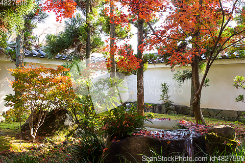 Image of Japanese garden with red maple foliage 