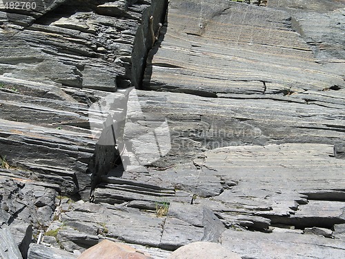 Image of grey rock close up