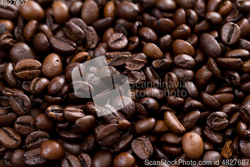 Image of Roasted coffee bean