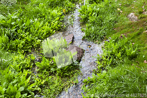 Image of small stream, green grass