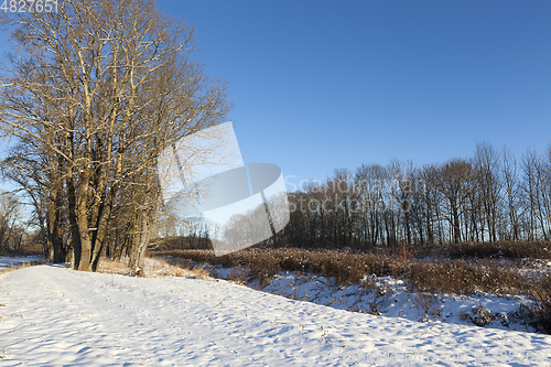 Image of Snow in the winter