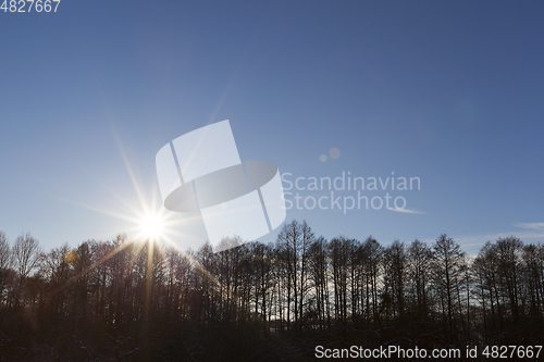 Image of Snow in the winter