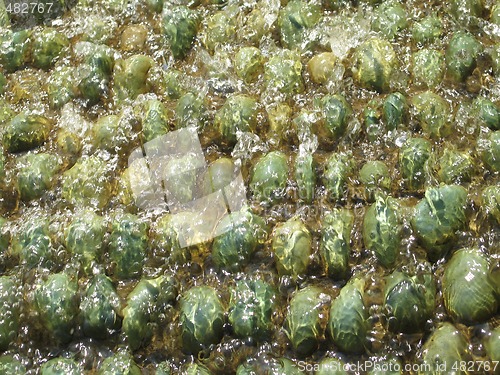 Image of green pebbles under water