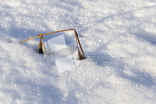 Image of Winter season. Photo