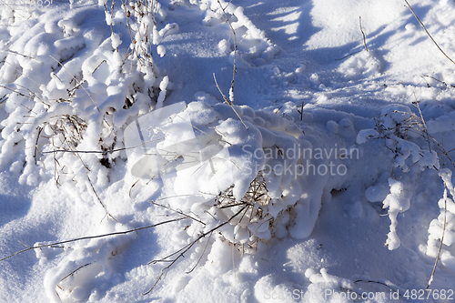 Image of Snow-covered field