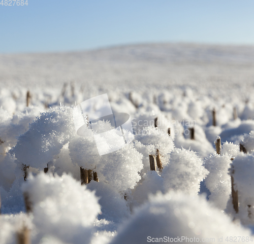 Image of Snow drifts in winter