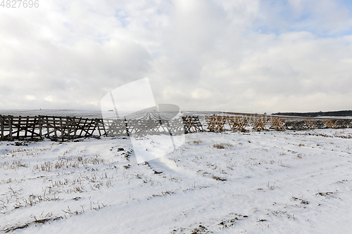 Image of Snow drifts in winter