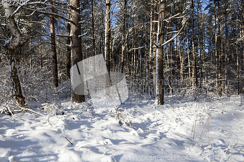 Image of Snow drifts in winter