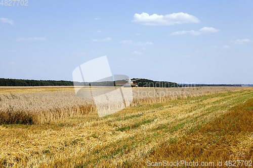 Image of Harvester in the field