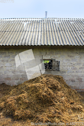 Image of heap of the dung besides the shed