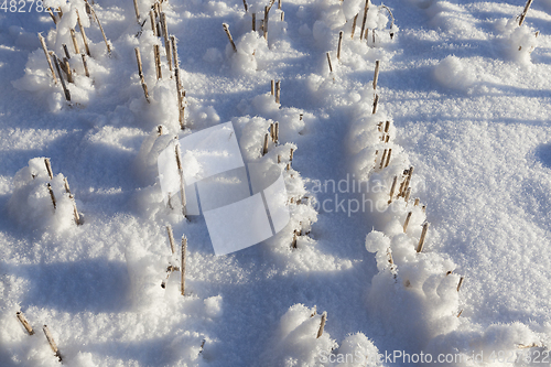 Image of Snow drifts in winter