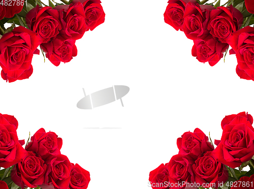 Image of Red roses as frame on white background