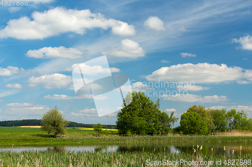 Image of Beautiful spring landscape with small pond.