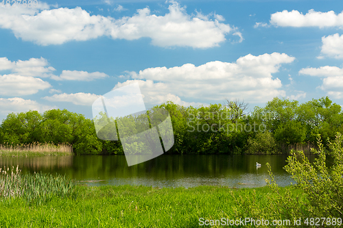 Image of Beautiful spring landscape with small pond.