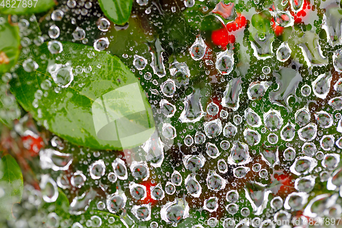 Image of water drop on spider web