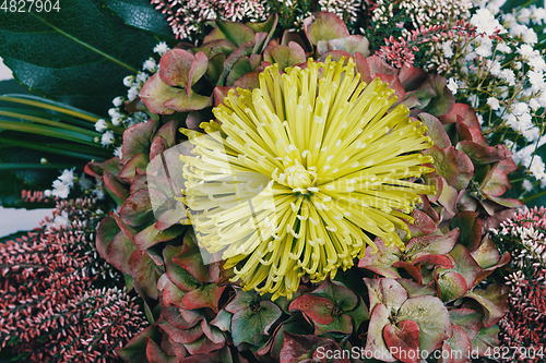 Image of Bouquet of fresh heather bouquet