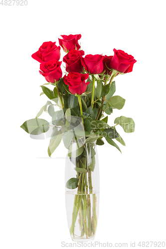 Image of Red roses on white background