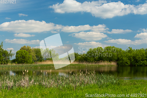 Image of Beautiful spring landscape with small pond.