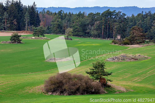 Image of hunting tower in spring rural landscape