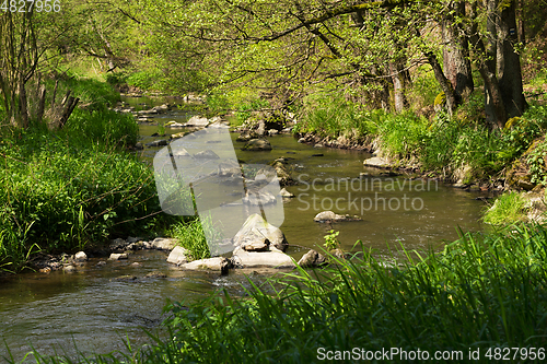 Image of small mountain wild river in spring