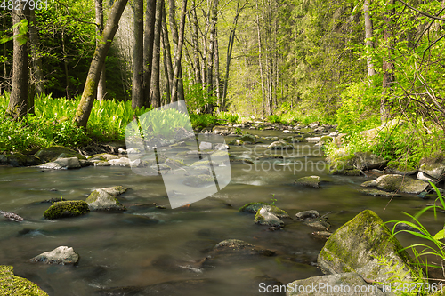 Image of small mountain wild river in spring