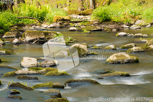Image of small mountain wild river in spring