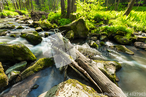 Image of small mountain wild river in spring