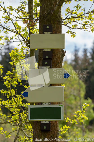 Image of empty tourist signpost in forest