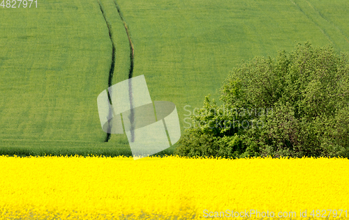 Image of Beautiful spring rural landscape