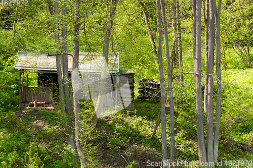 Image of hut in the deep green forest