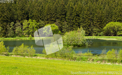 Image of Beautiful spring landscape with small pond.