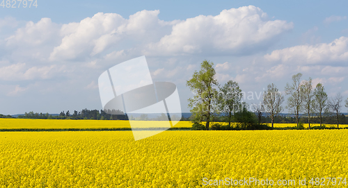 Image of Beautiful spring rural landscape