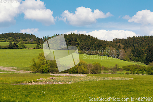Image of Beautiful spring rural landscape