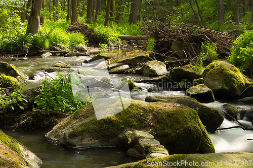 Image of small mountain wild river in spring