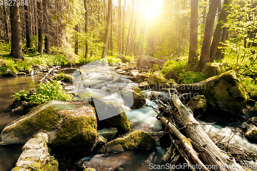 Image of small mountain wild river in spring