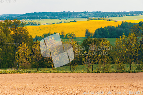 Image of Beautiful spring rural landscape