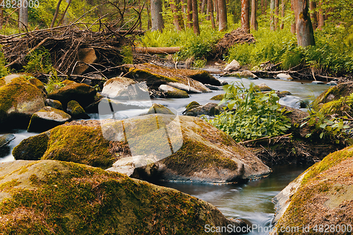 Image of small mountain wild river in spring