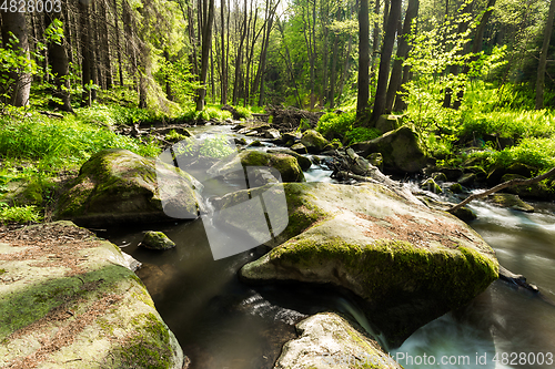 Image of small mountain wild river in spring