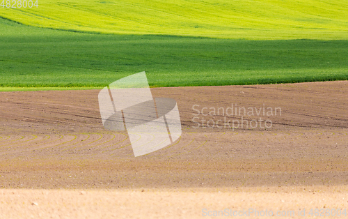 Image of Beautiful spring rural landscape