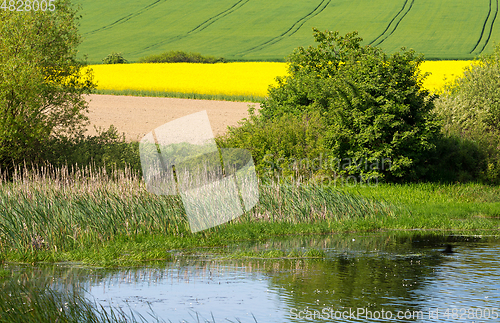 Image of Beautiful spring landscape with small pond.