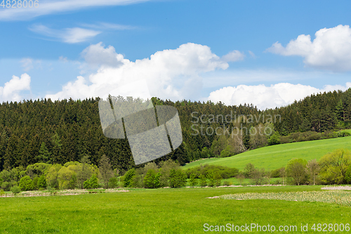 Image of Beautiful spring rural landscape