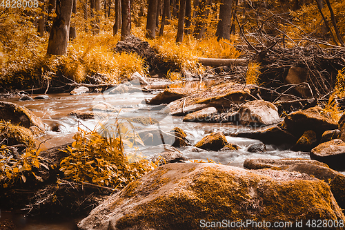 Image of small mountain wild river in spring