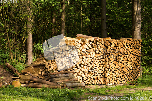 Image of Preparation of firewood for the winter.