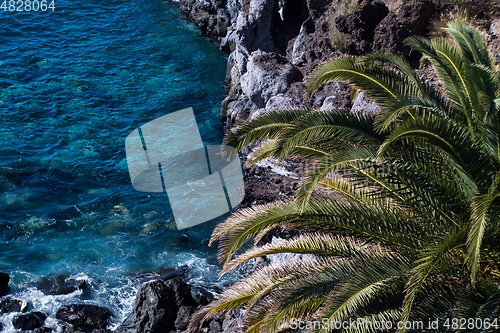 Image of beautiful view on blue ocean water and palm tree