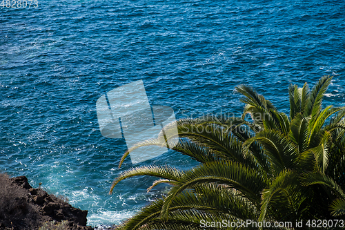 Image of beautiful view on blue ocean water and palm tree