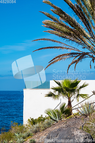 Image of beautiful view on blue ocean water and palm tree