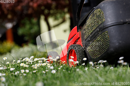 Image of lawnmower on green grass